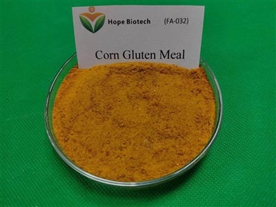 وجبة الذرة الغلوتين